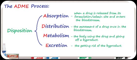 pharmacokinetics