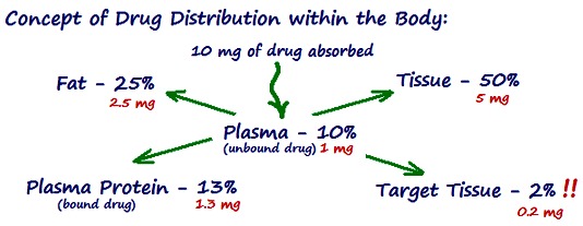 drug in bloodstream